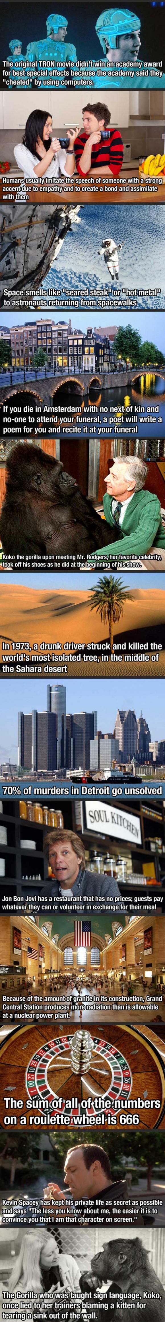 Interesting random facts