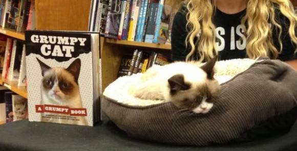 Met a real life internet celebrity yesterday. It was awful.
