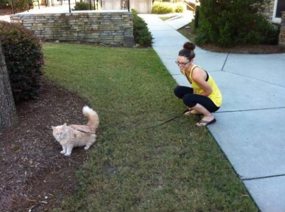 I think my wife wanted a dog.