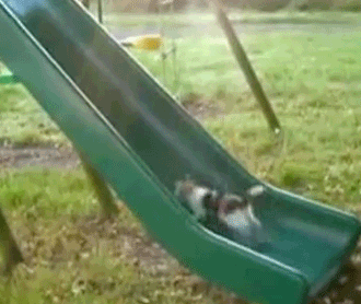 Me trying to move up on the company i work for.