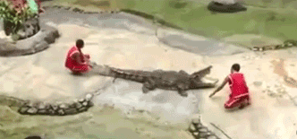 Give This Kid a Darwin Award
