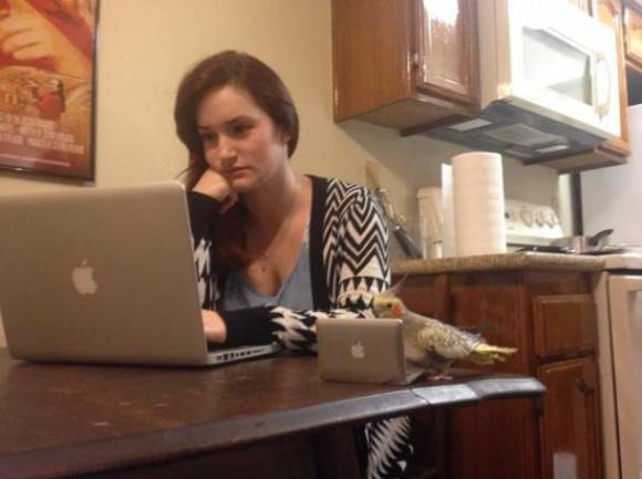 Just my bird and I getting some work done at home.