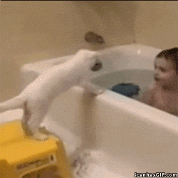 Kitty! Come to me!!!