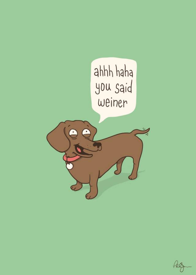 I met an immature dachshund yesterday so I drew a picture of him.