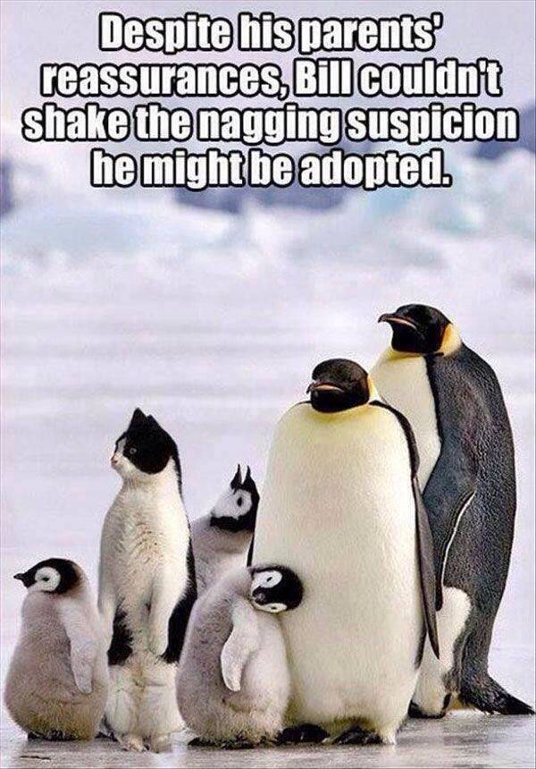 It's hard being different.