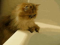 You want me to go...  in there?