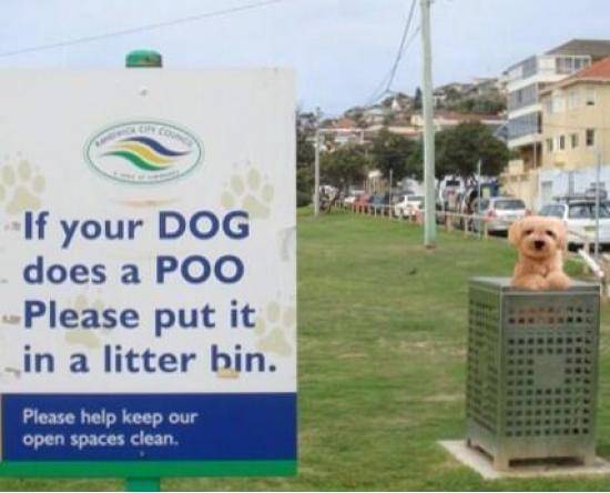 Not sure if correct procedure