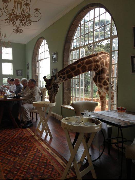My friend's on a trip in Africa. She sent me this picture saying, 