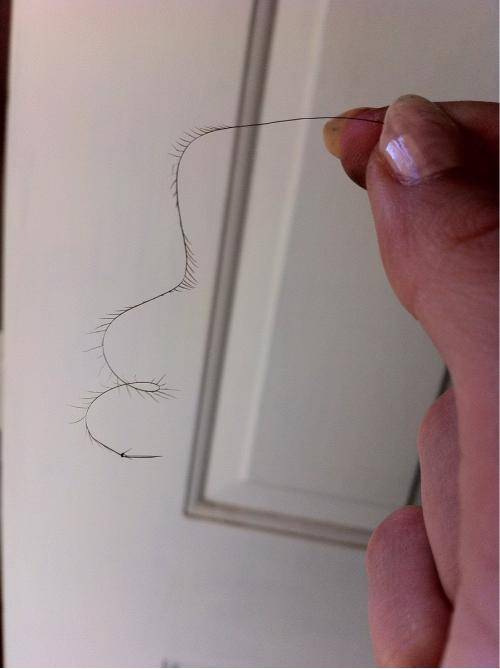 I found the mother of all split ends today.