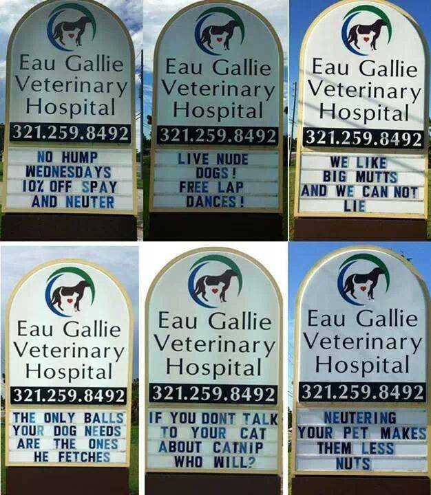 My local vet. hospital's clever advertising