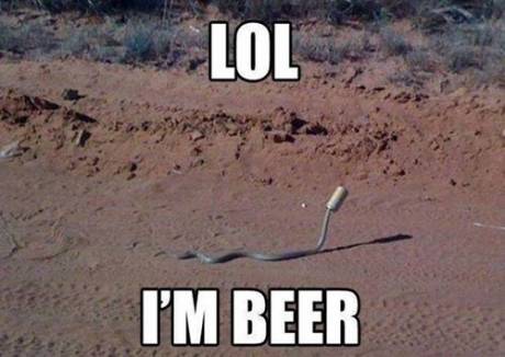 Silly snake...