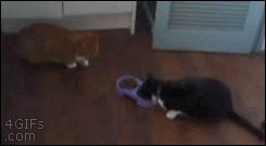 What happens when my fiancee and I are going to 