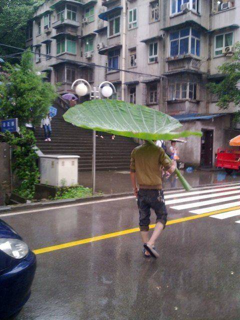 Umbrella swag.