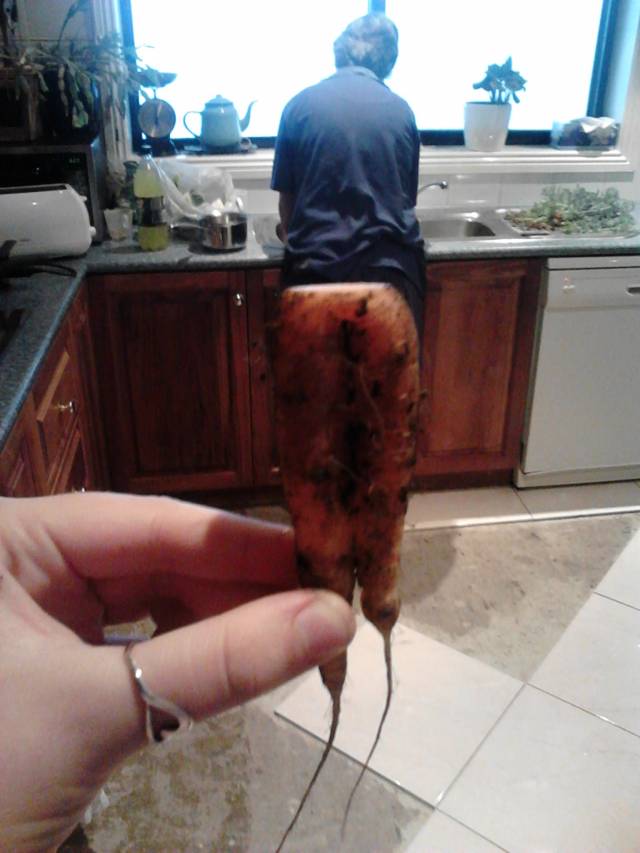 Carrot pants.