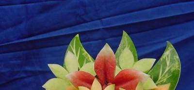 15 amazing works of fruit art