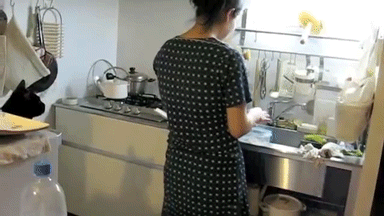 Cat Jumps