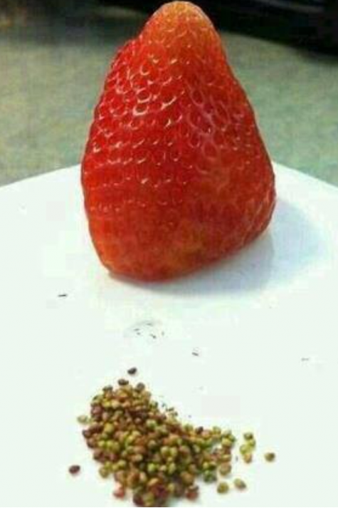 Have you ever been so bored...
