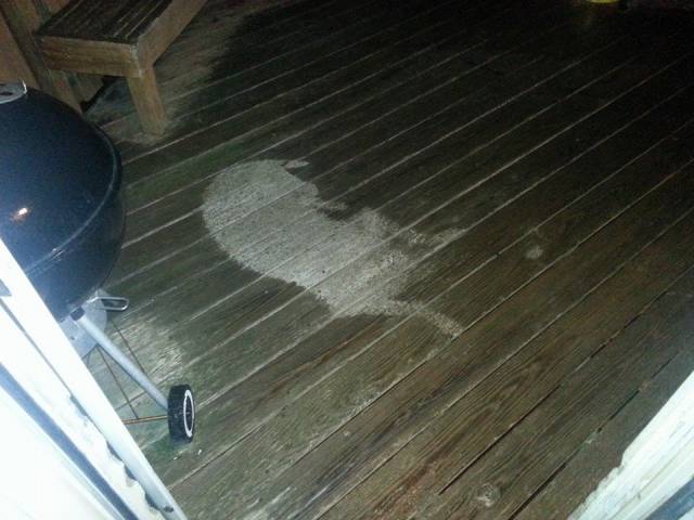 Someone wasn't about to let a little rain ruin their nap!