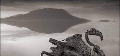 Deadly lake turns animals to stone