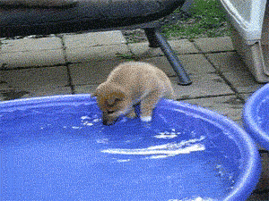 wow. such water. so I must jump in!