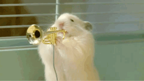 Hamsters playing musical instruments