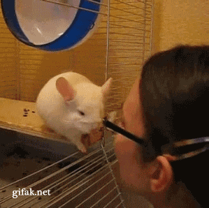 I'm sorry, I'm just really nervous because I like you...