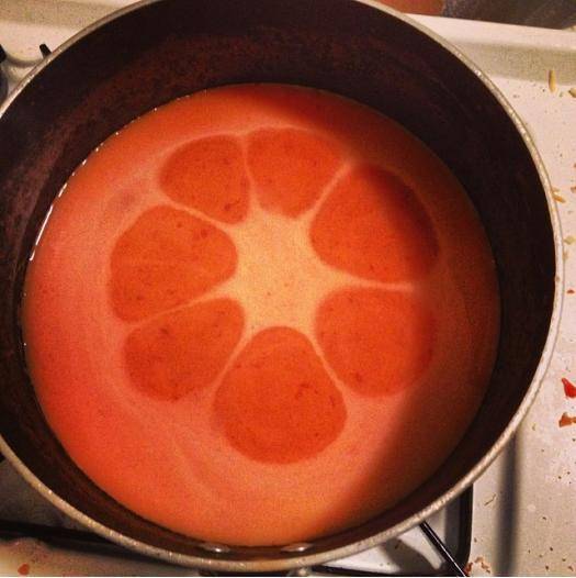 Made some tomato soup, and this happened.