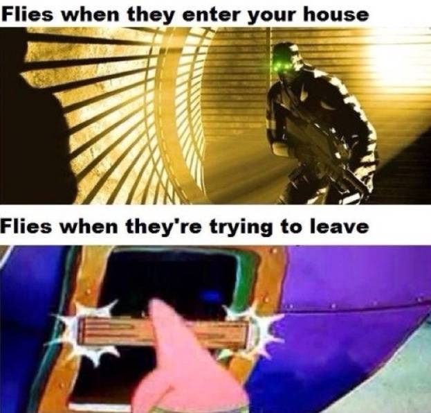 What's wrong with them?