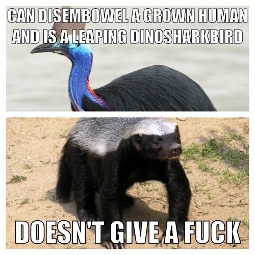 Attributes vs. f****
