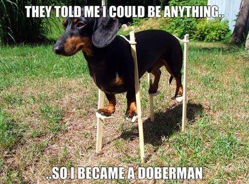 They told me I could be anything...
