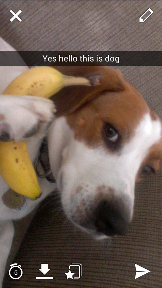 Best Snapchat I've received.
