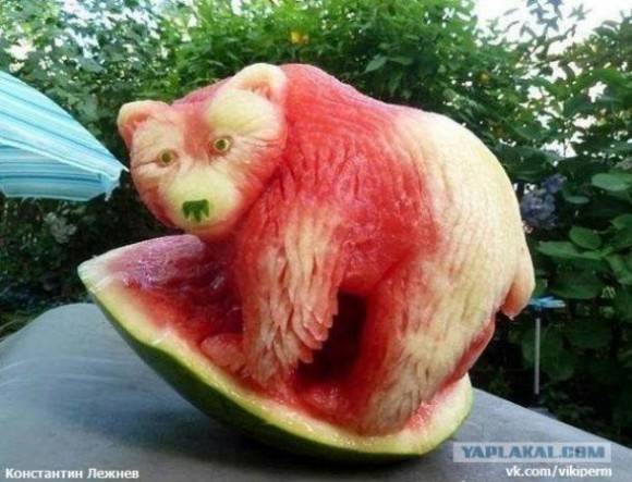 watermelon bear. that’s all.