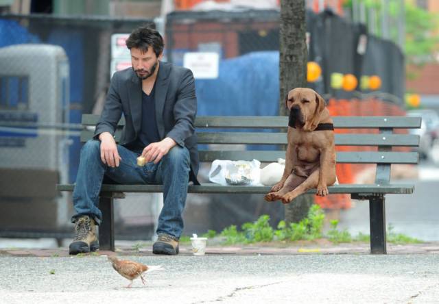 Looks like Keanu got a dog