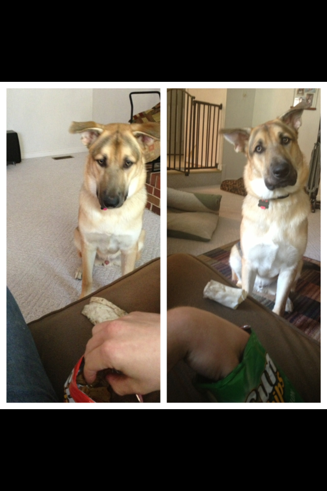 Whenever I eat sun chips, somebody always wants to trade.