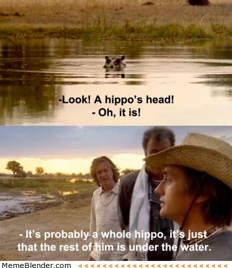 Look! A hippos head