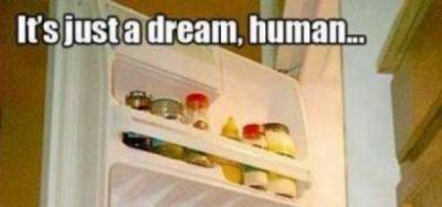 Funny captioned pictures (part 2)