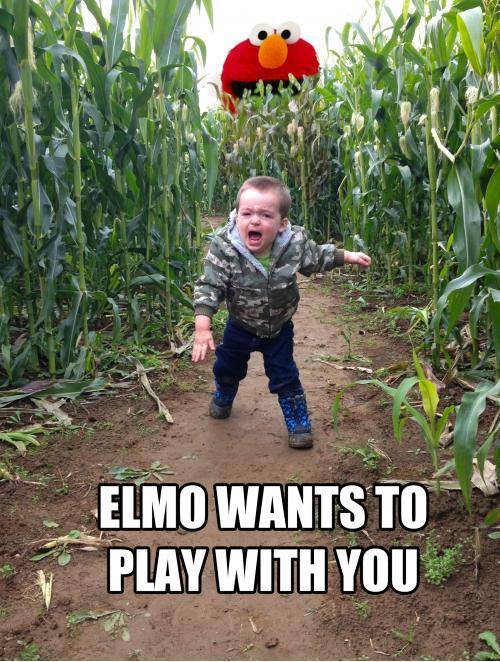 My son went from happy to terrified in the corn maze. I had to do something