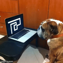 Dog is Not Amused by Human Prank