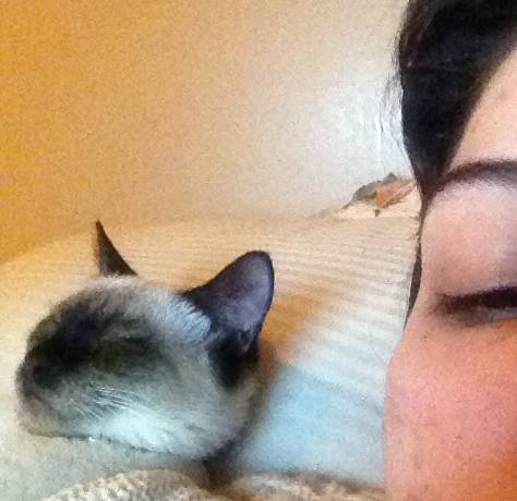 As I am distracted with Netflix, I abruptly hear a snoring sound. I turn to find this: