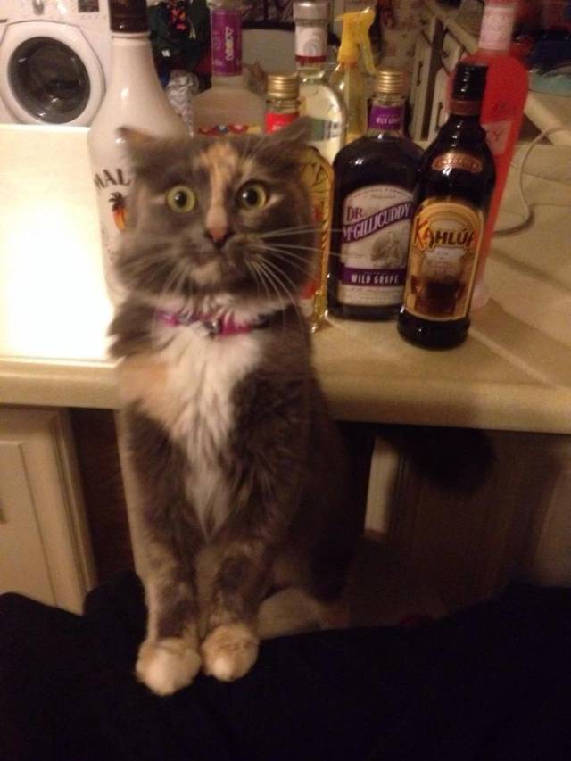 Oh hi. You guys are home early.