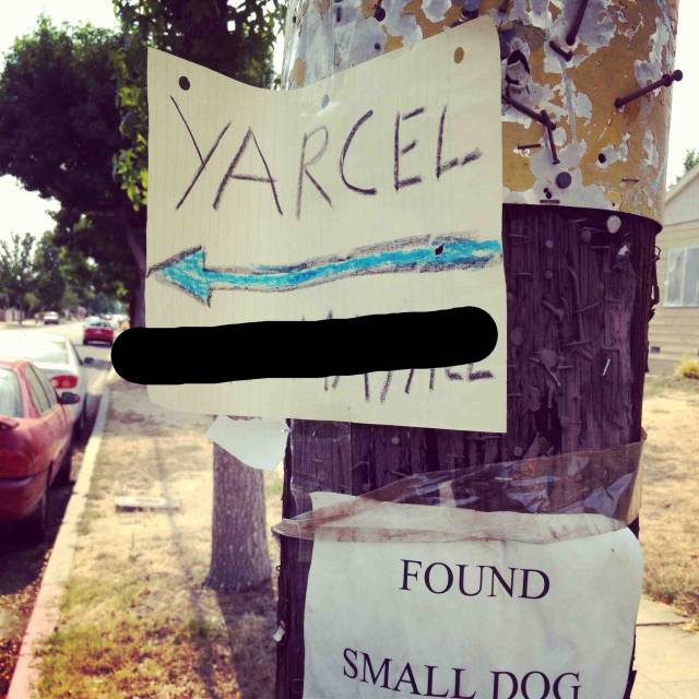 living in a predominantly Latino neighborhood, this made me smile