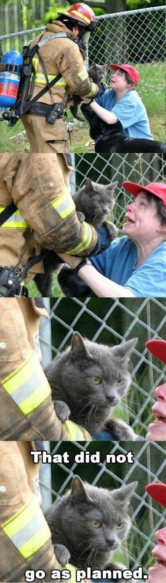 Foiled again..