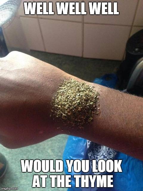 Wasting Thyme