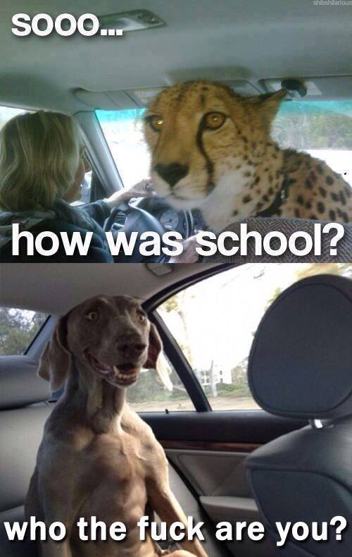 Still my favorite picture on the Internet.