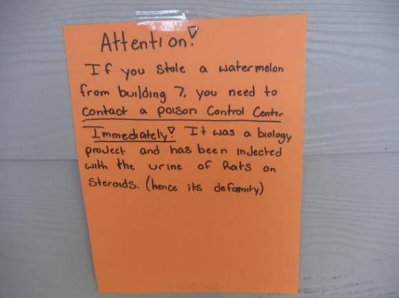 Found outside of buddy's apartment.