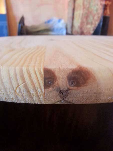 f**k reincarnation