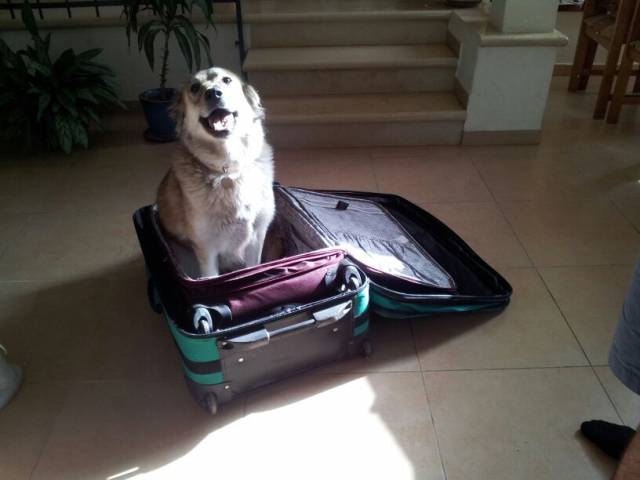 So... When are we going?!?