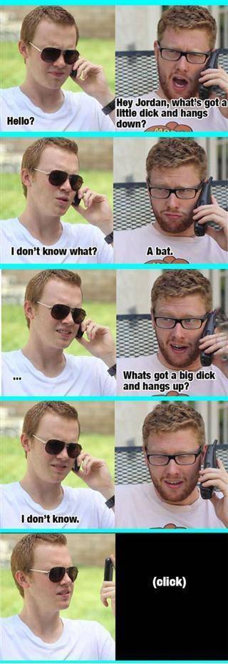 What has a big dick and hangs down?