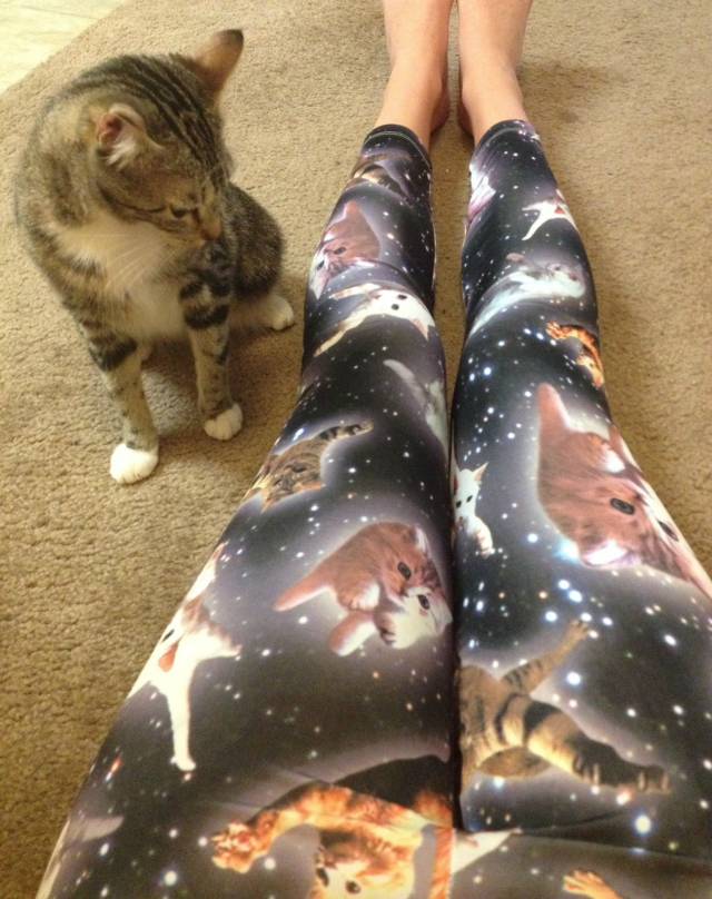 She's been staring at them all day