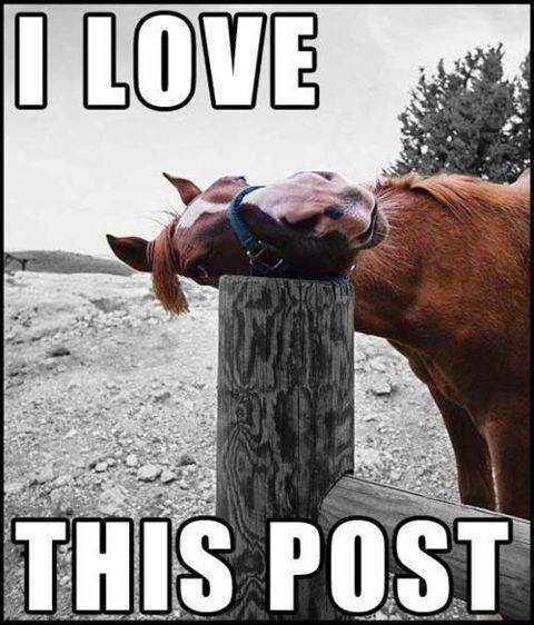 It's a nice post.